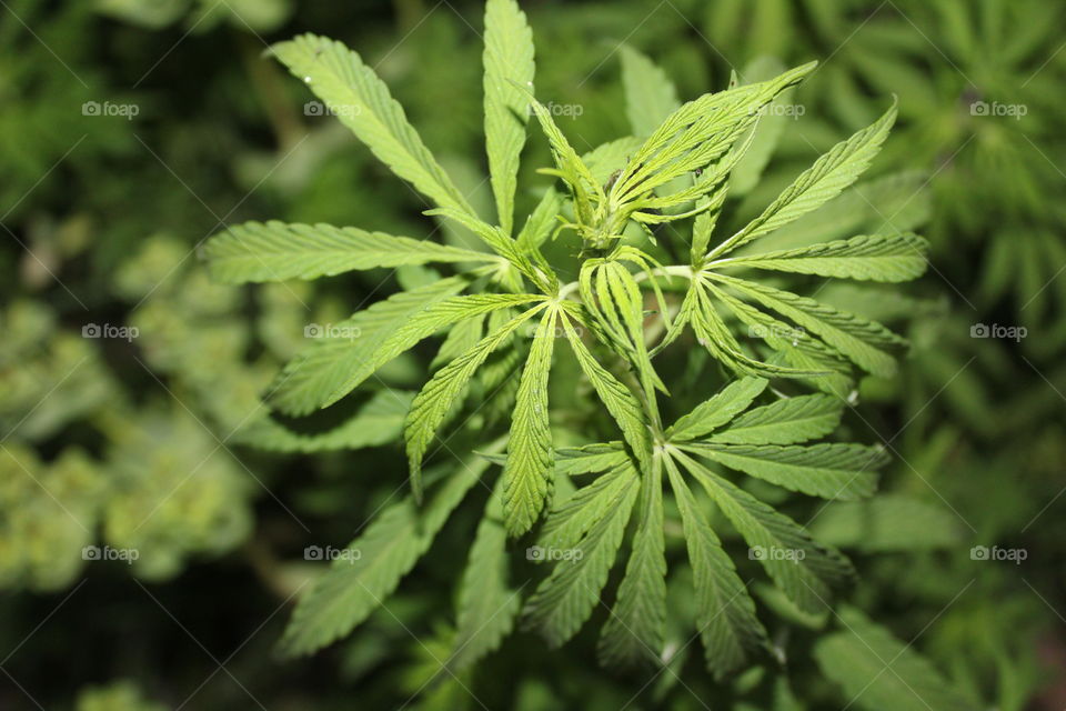 welcome to spring...fresh air, smart look etc