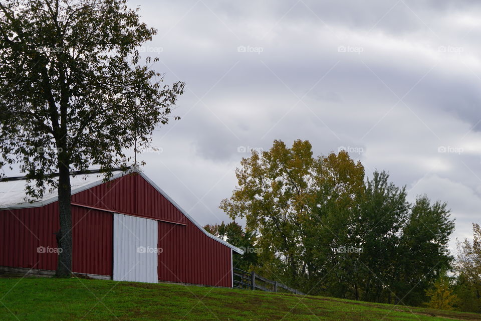 A tree and a barn. 