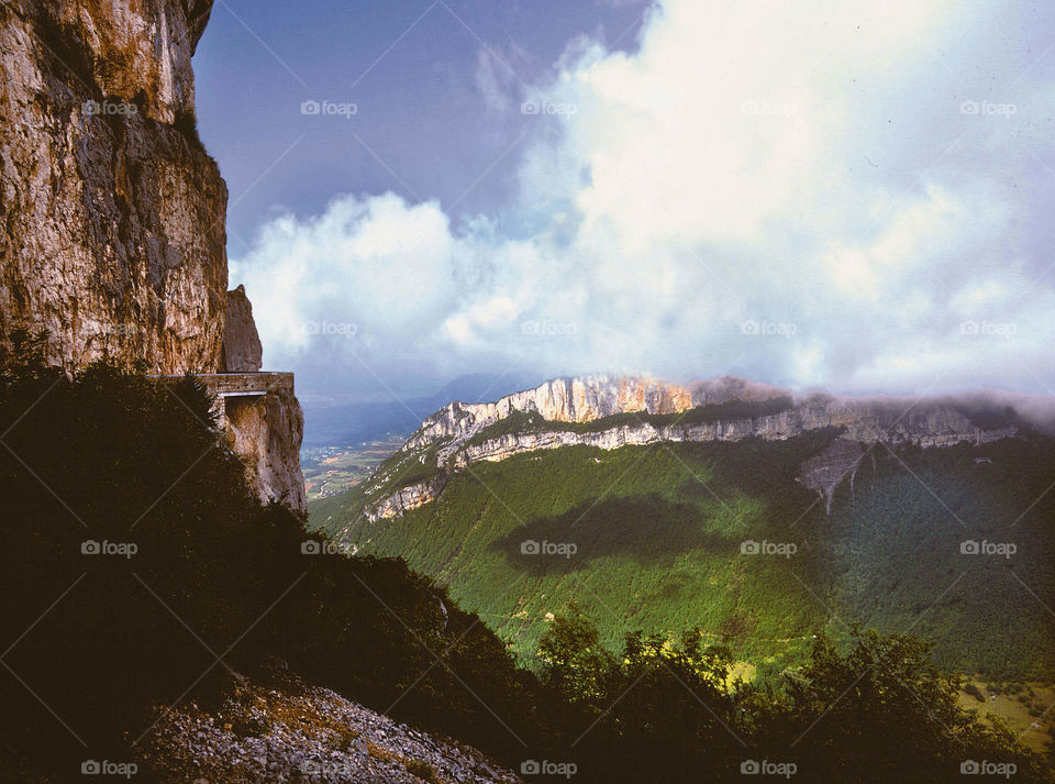 Chartreuse Alps 