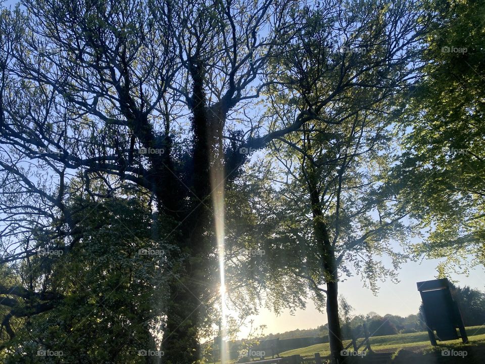 A Beautiful Sunny Evening! 