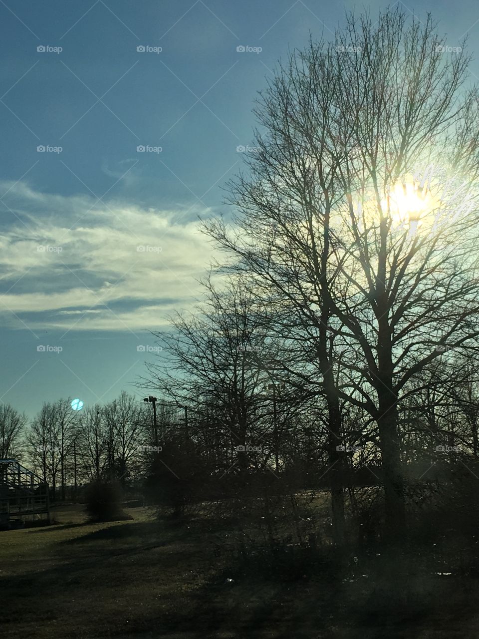 Afternoon in the delta 