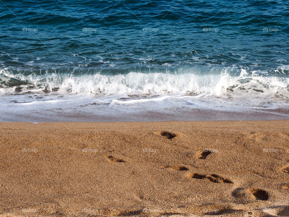 Scenic view of beach