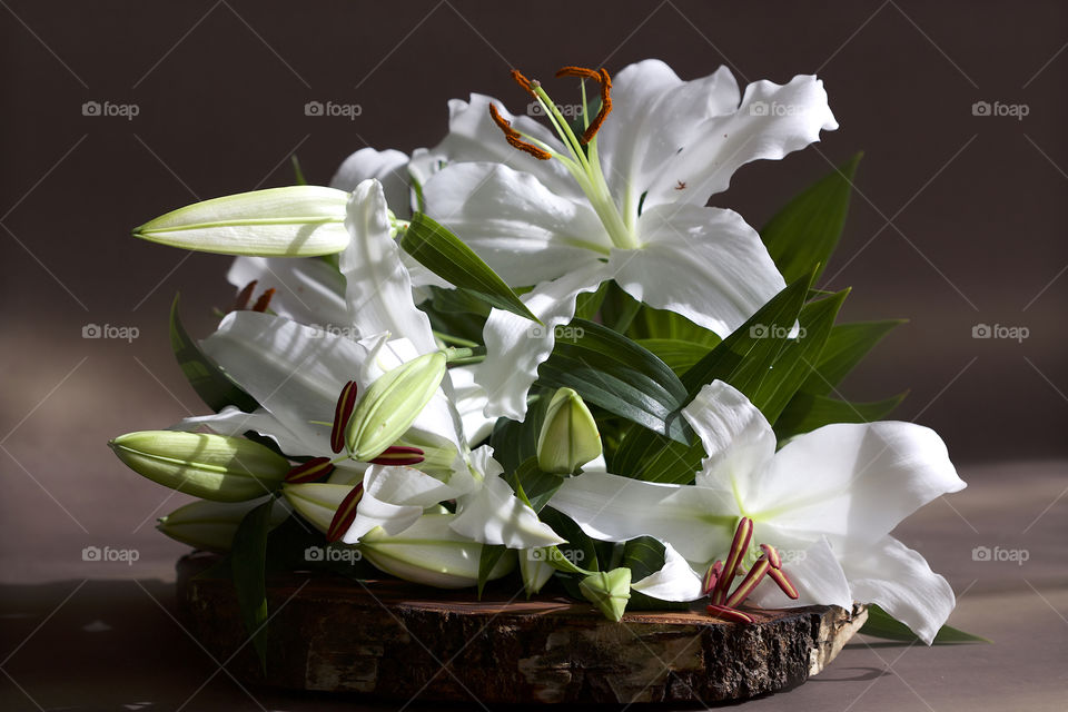 white lilies