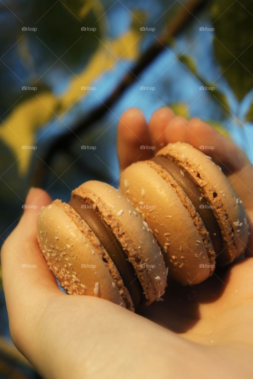 Macaron’s travels 