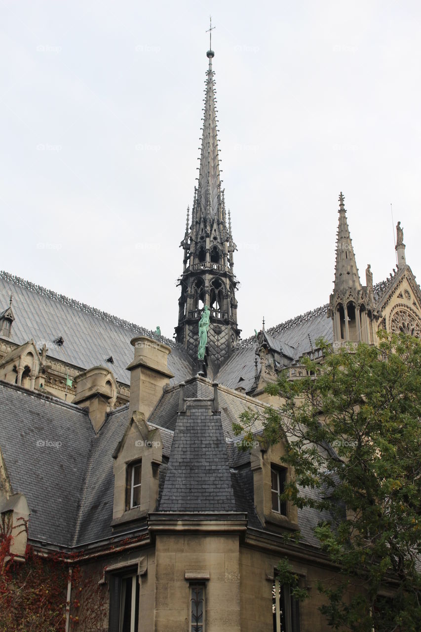 Notre dame