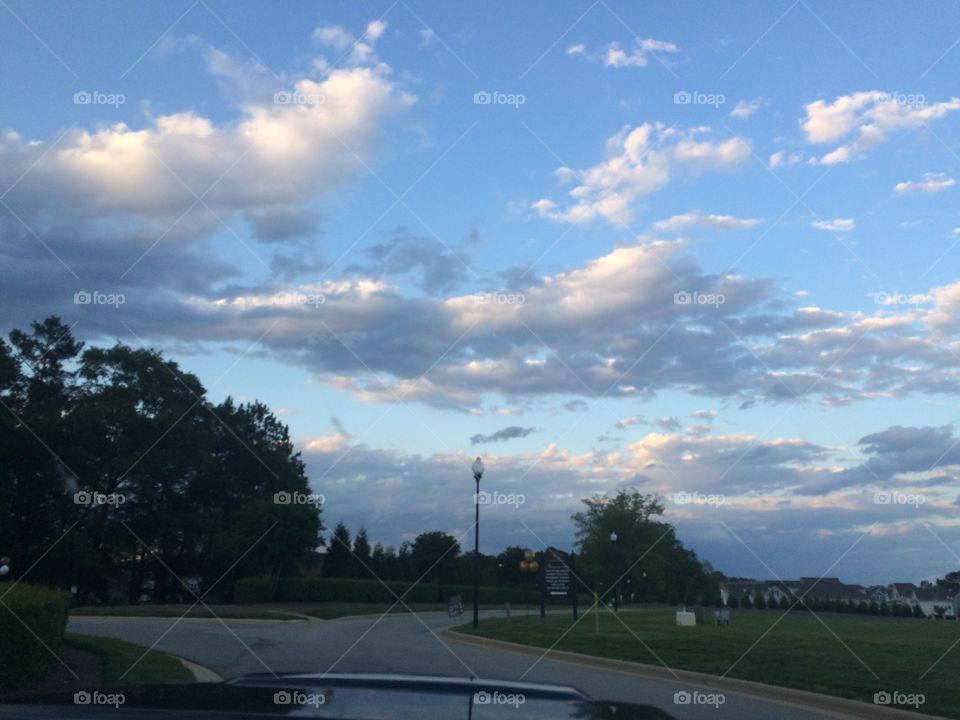 Tree, Landscape, No Person, Sky, Road