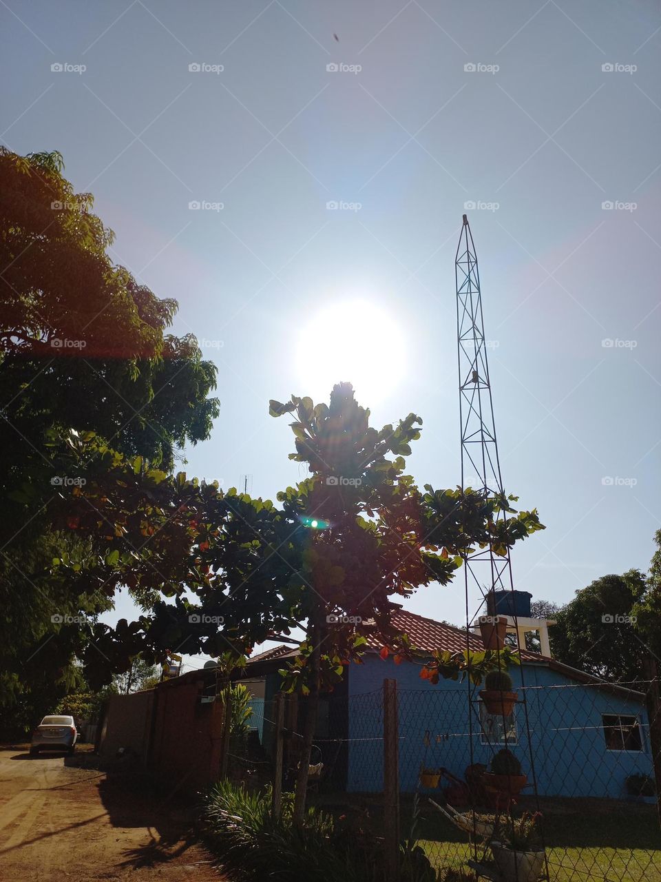 Editorcoice the Photo week Tarde de Sol dourado