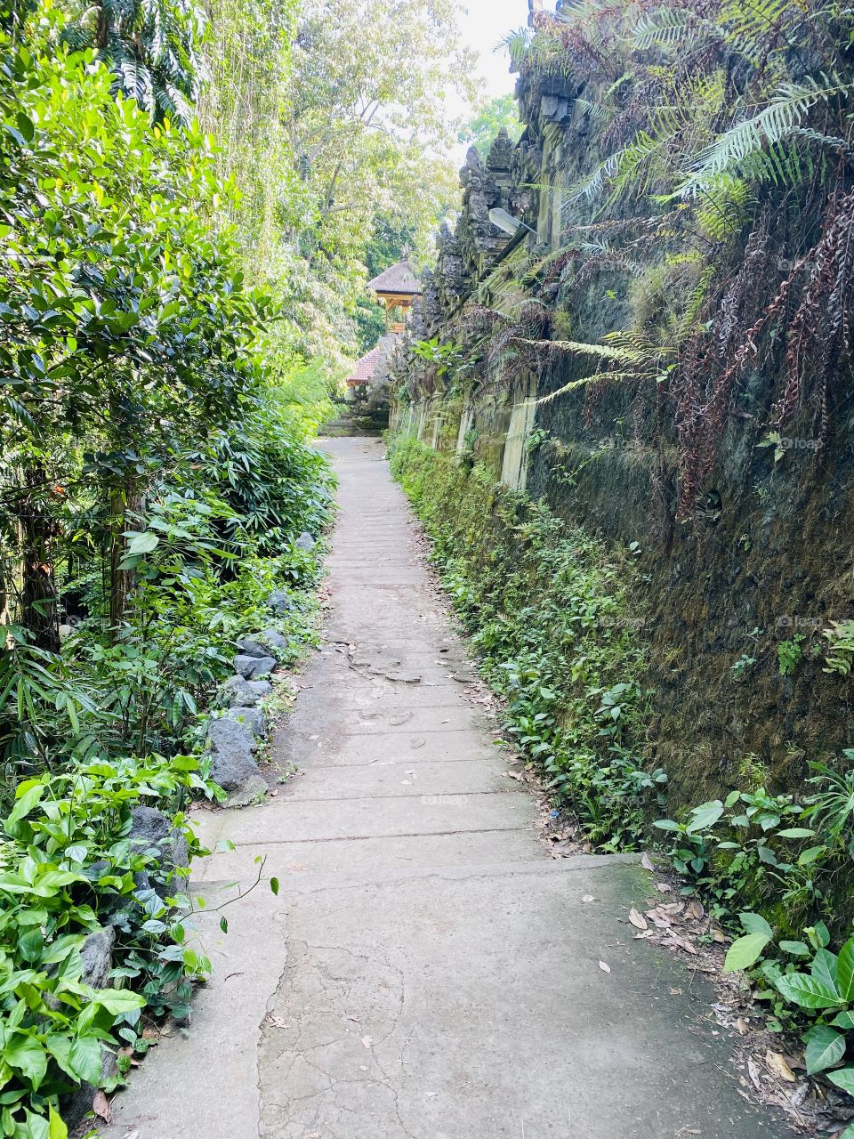 Path - Ubud