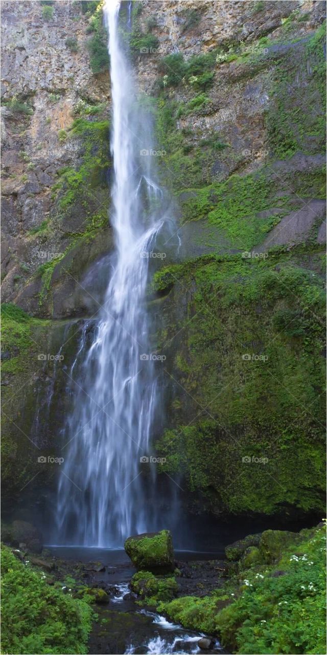 Multnomah Falls