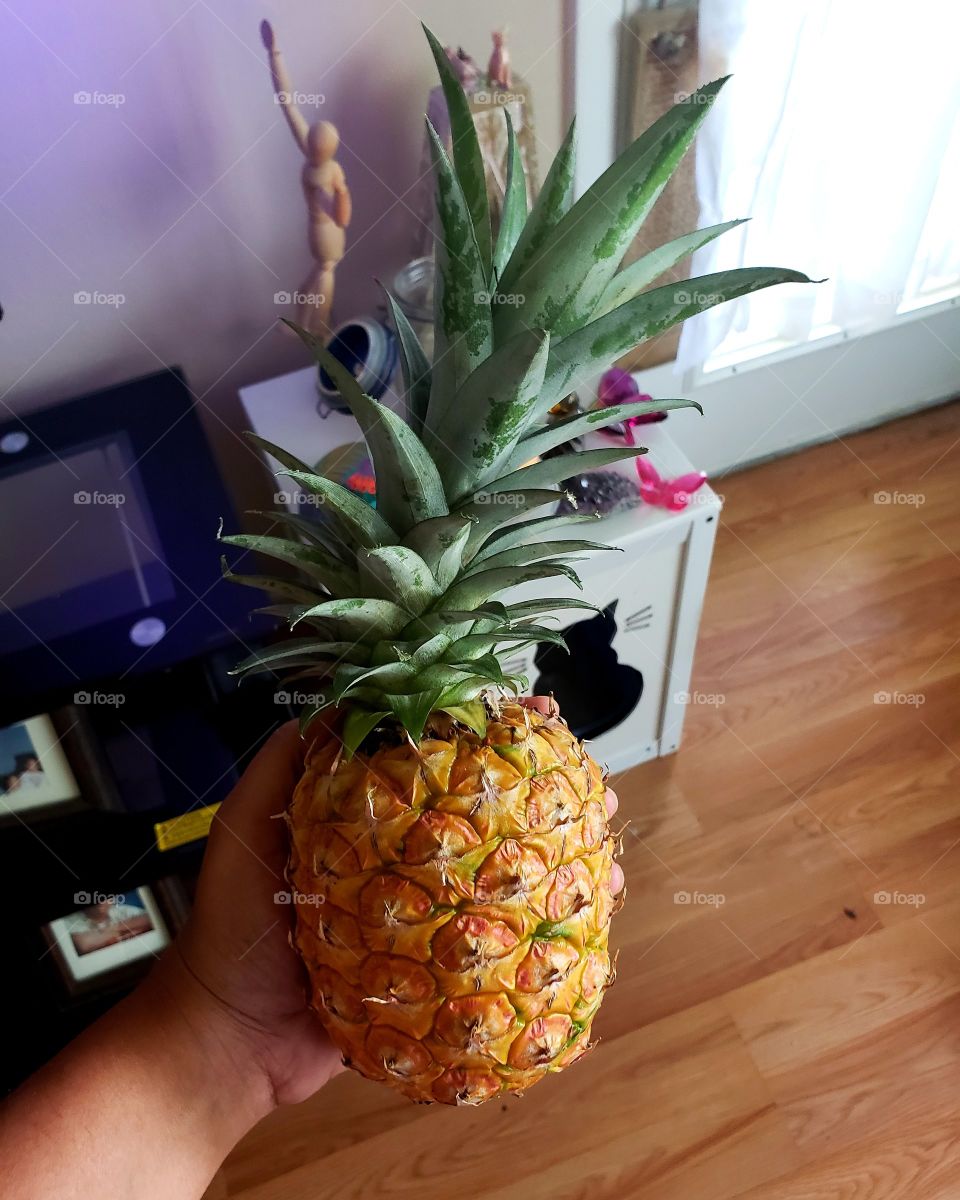 cutest lil pineapple ya ever did see
