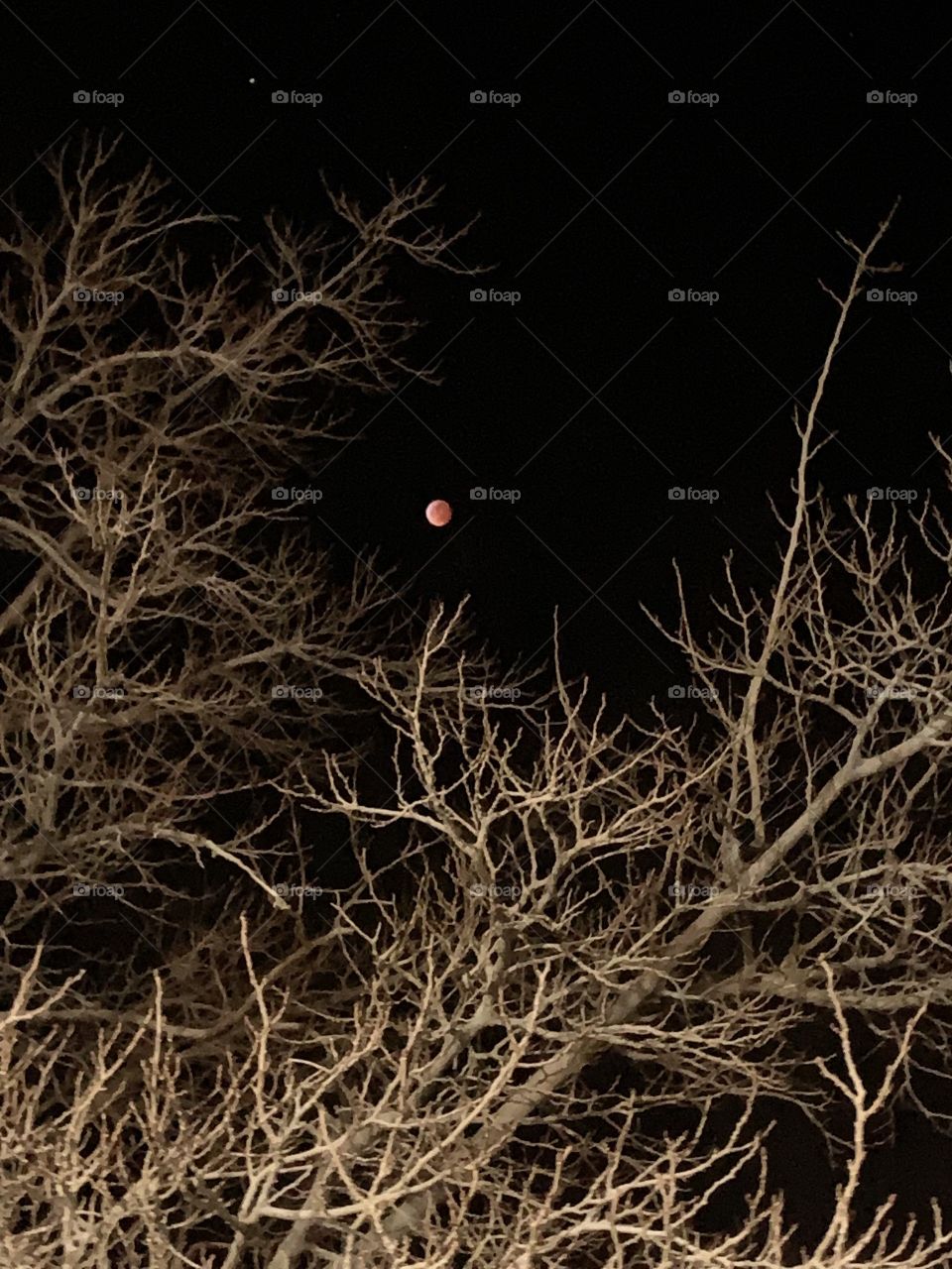 Photo of blood moon in Las Vegas