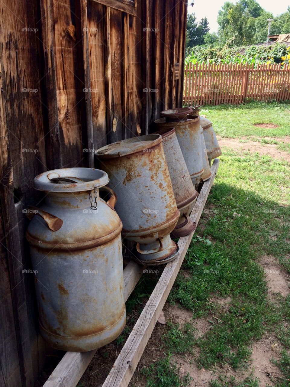 Tin jugs