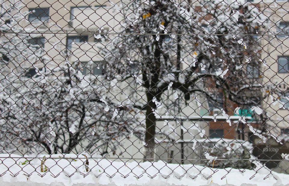 Snow on the wire fence in the city