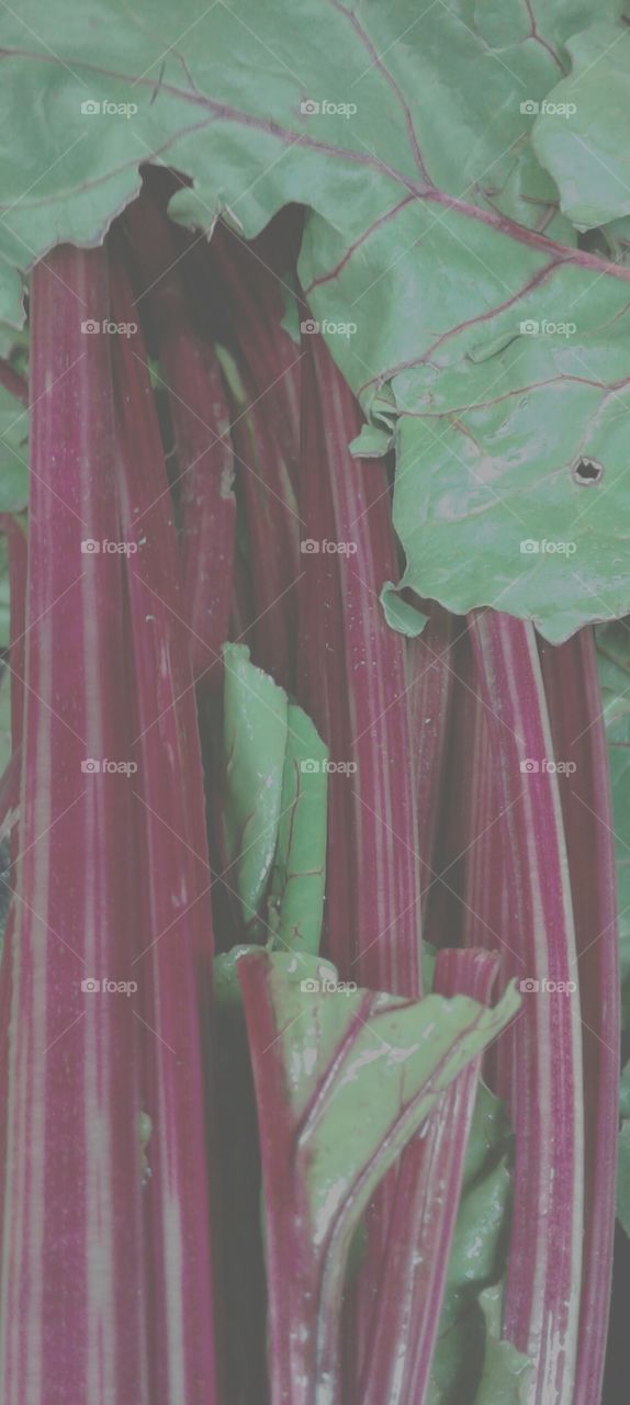 background, rhubarb