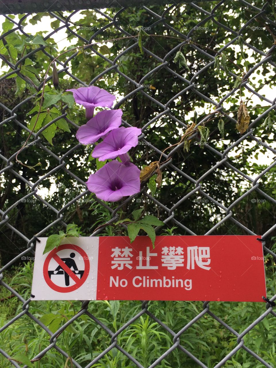No climbing