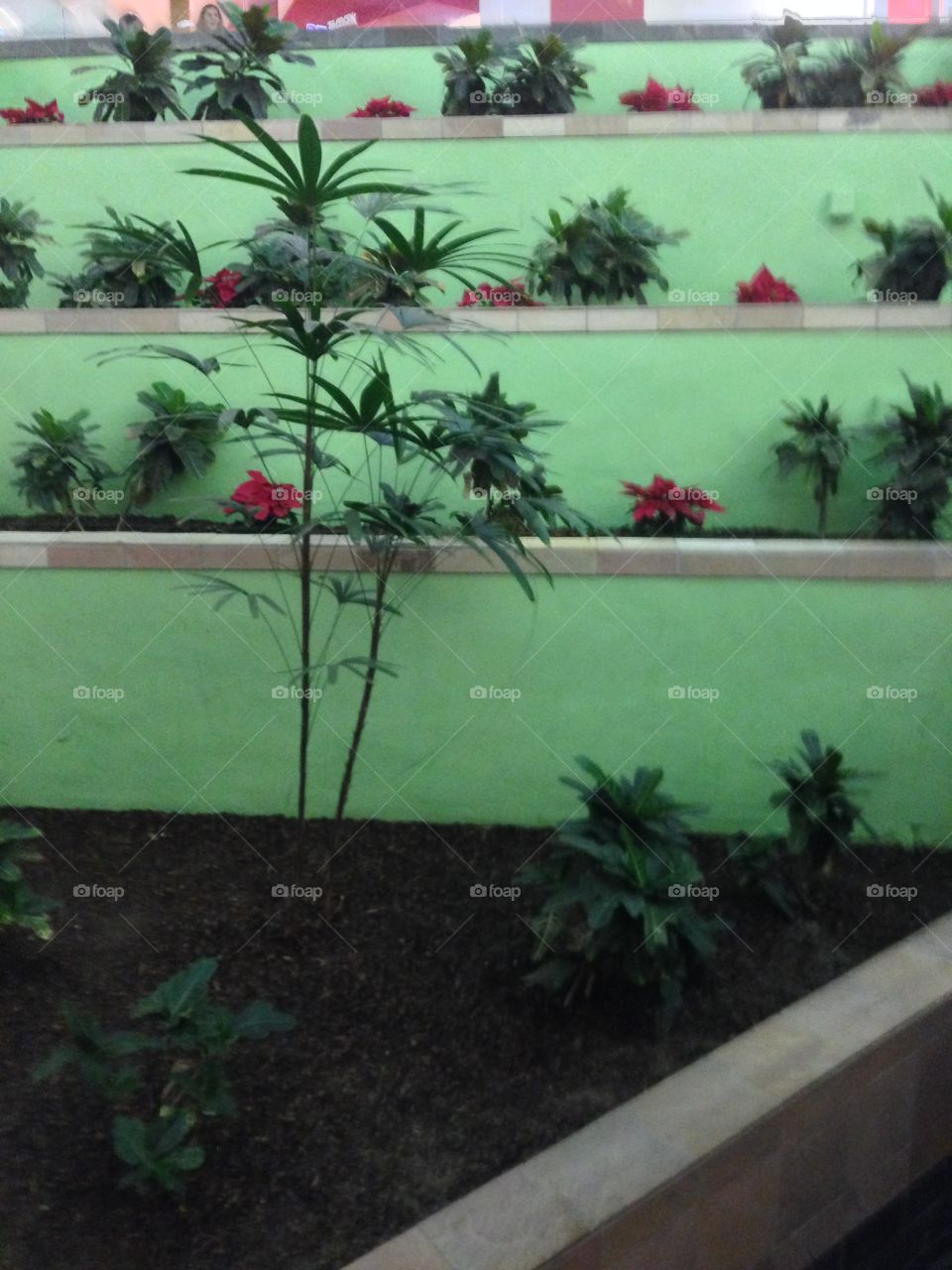 Foap photo

Published by:
HappyBrownMonkey 