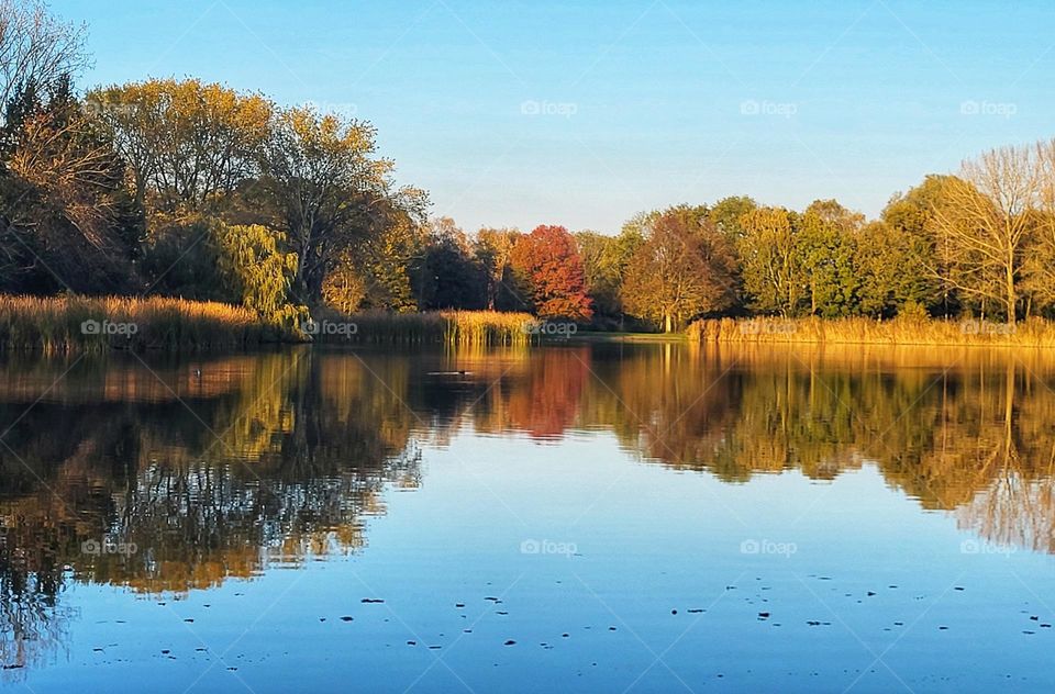 Autumn in the mirror