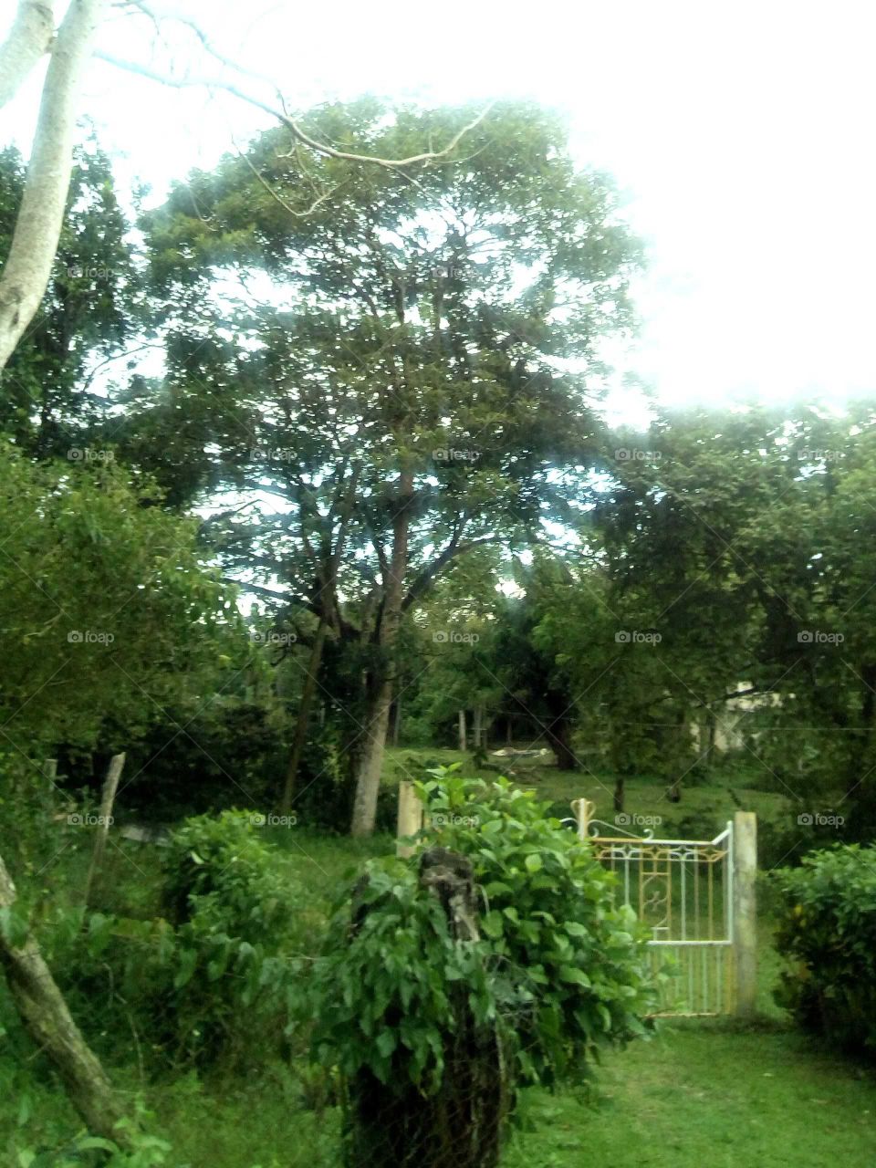 this is nature at it best when you embrace an take good care of nature then nature will take care of us.