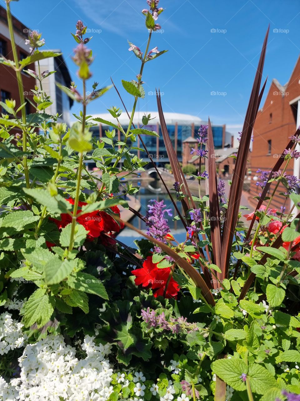 beautiful flowers 💐