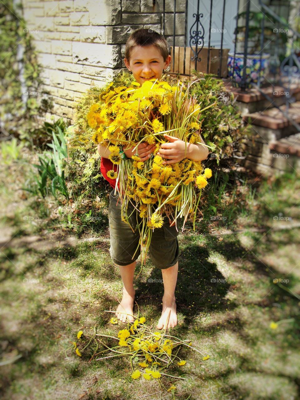 Armful of Summer Sunshine