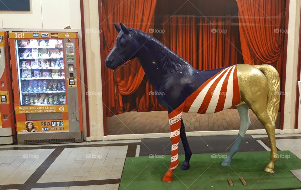 horse in Deauville train station