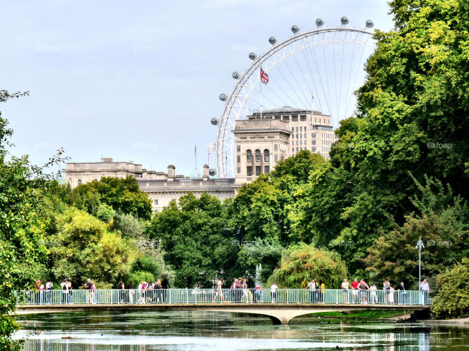 london trees water park by llotter