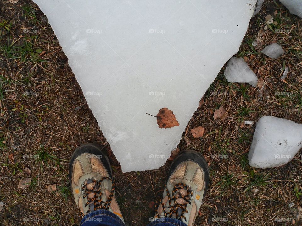 a piece of ice lies on the ground