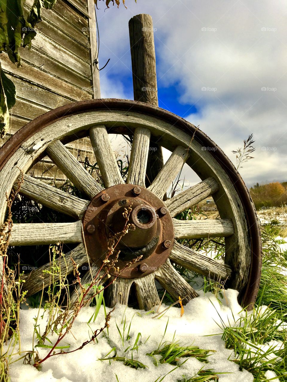 Wagon wheel in the autumn 