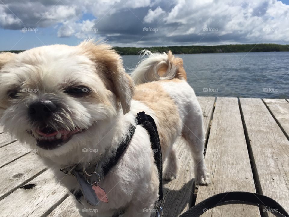 If happiness has a face 