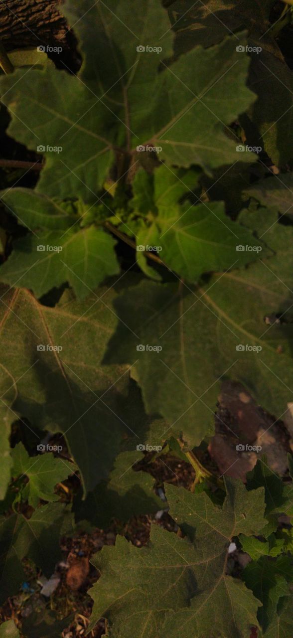 exploring surrounding