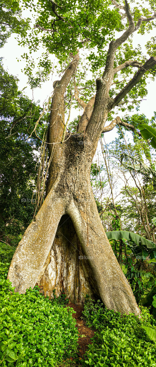 travel your imagination 😃