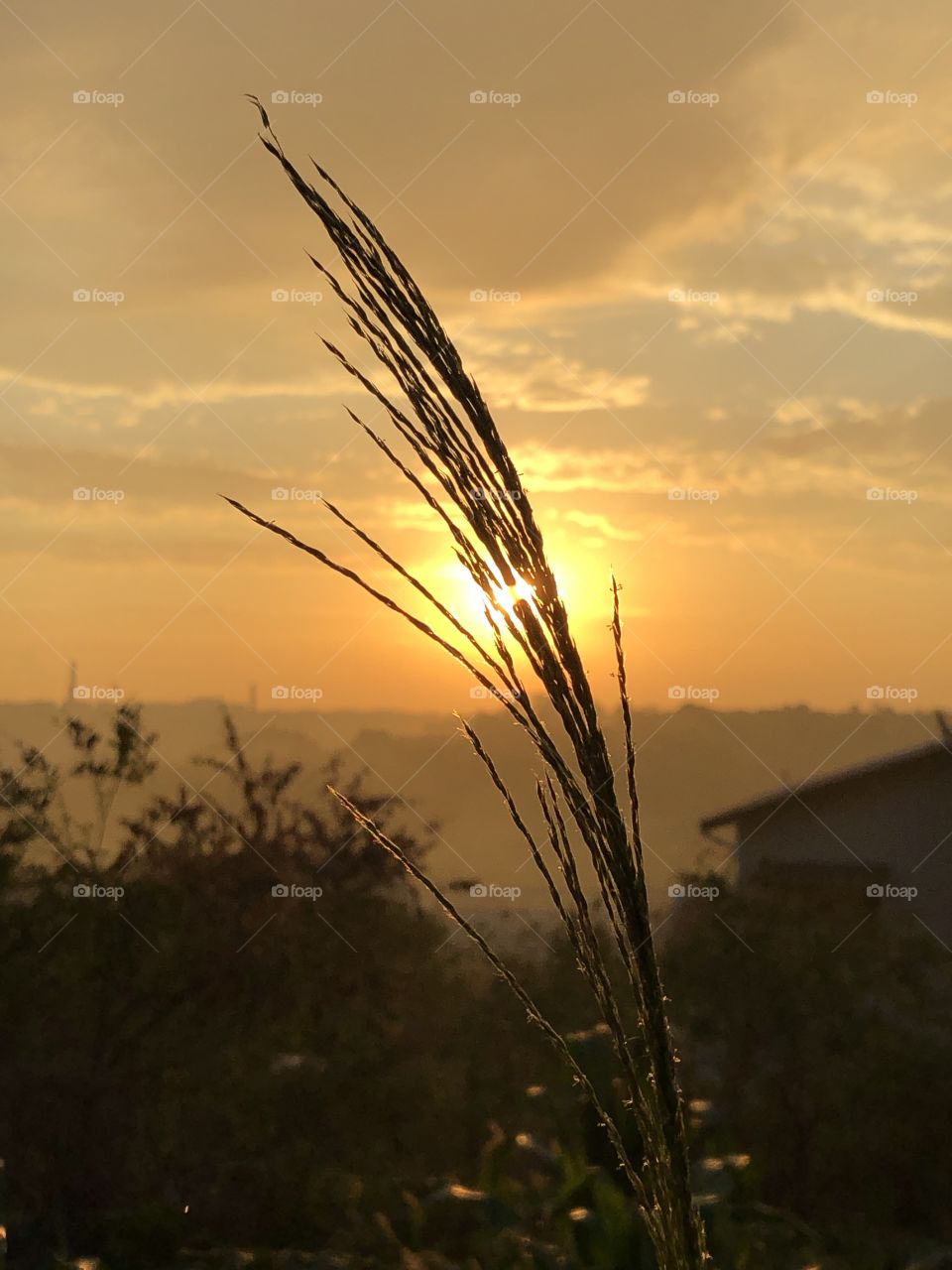 Have you ever imagined waking up in a small house, close to the nature, and being able to watch the sun rising with great colors, in person? Not even the grass would bother you, rather, work in favor to the great picture being created.