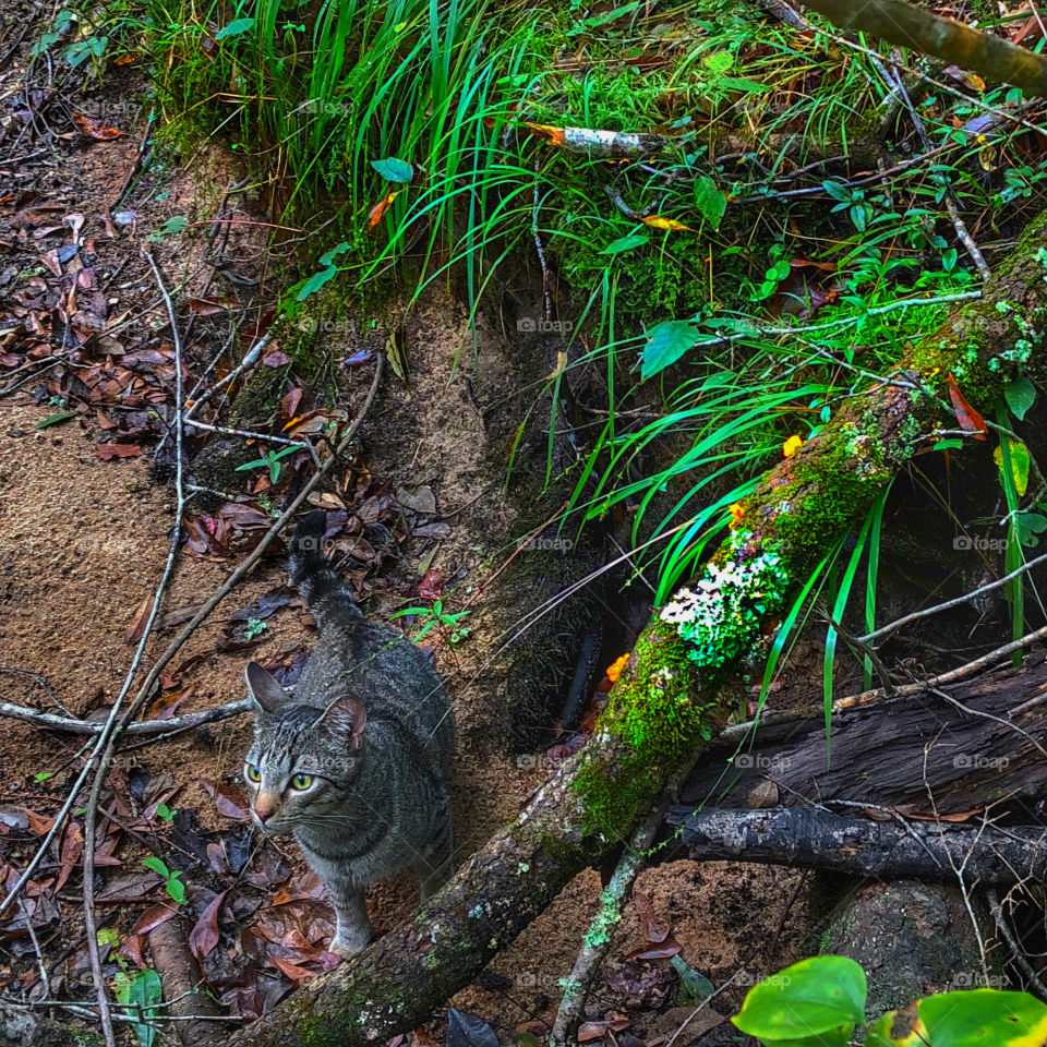 Benjamin Linus in a dry creek bed- listening one way- and looking another. I hate square pictures- I’m not sure how this happened- clumsy me...