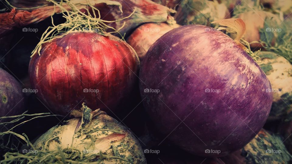 different onions
