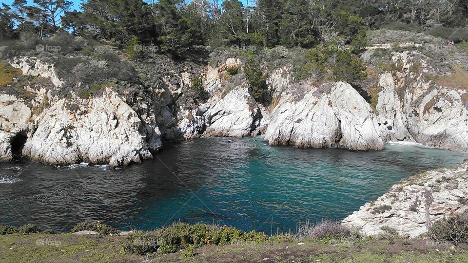Point Lobos State Natural Reserve, CA