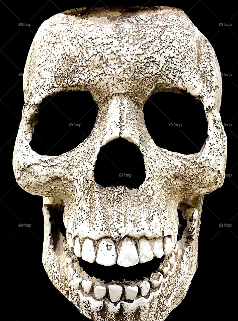 Skull


