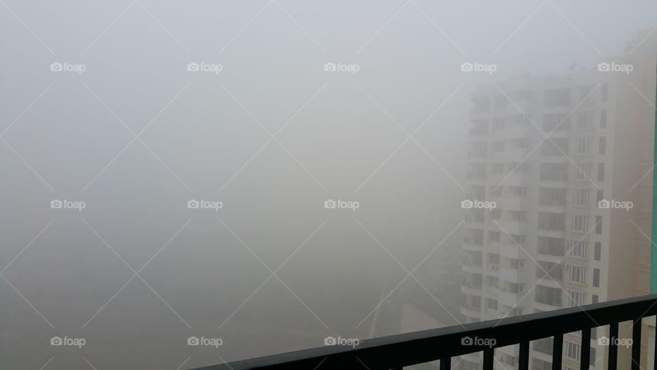 Fog....