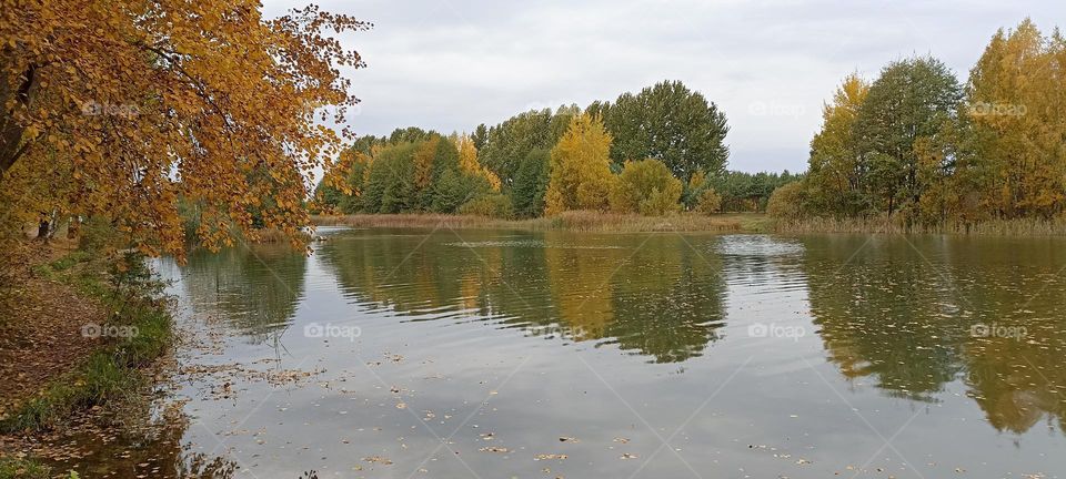 autumn nature landscape lake and reflection