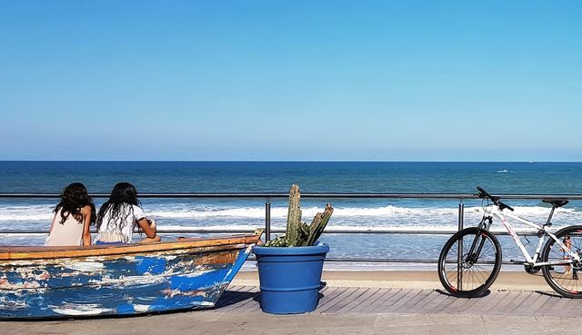 Looking the sea