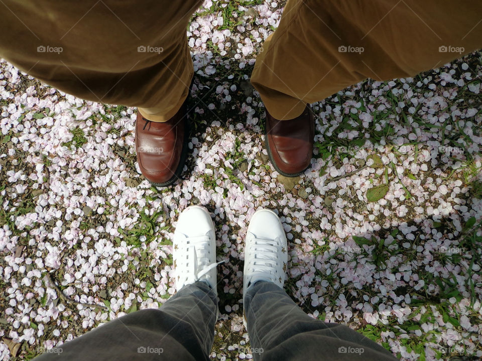 Couple standing on cherry blossom sakura petals