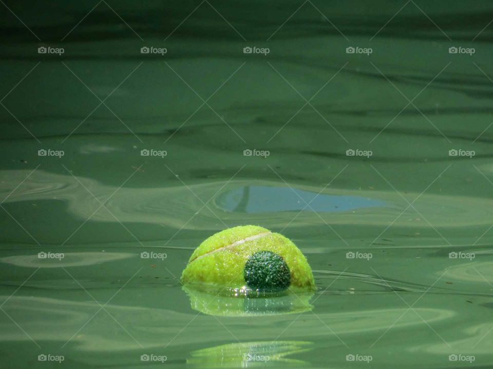 Tennis ball floating on the water