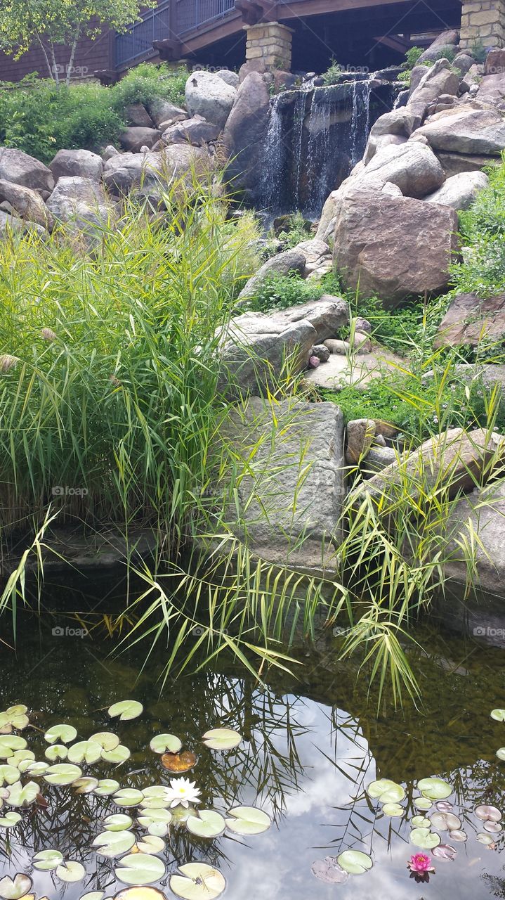 Garden. The House on the Rock in Wisconsin