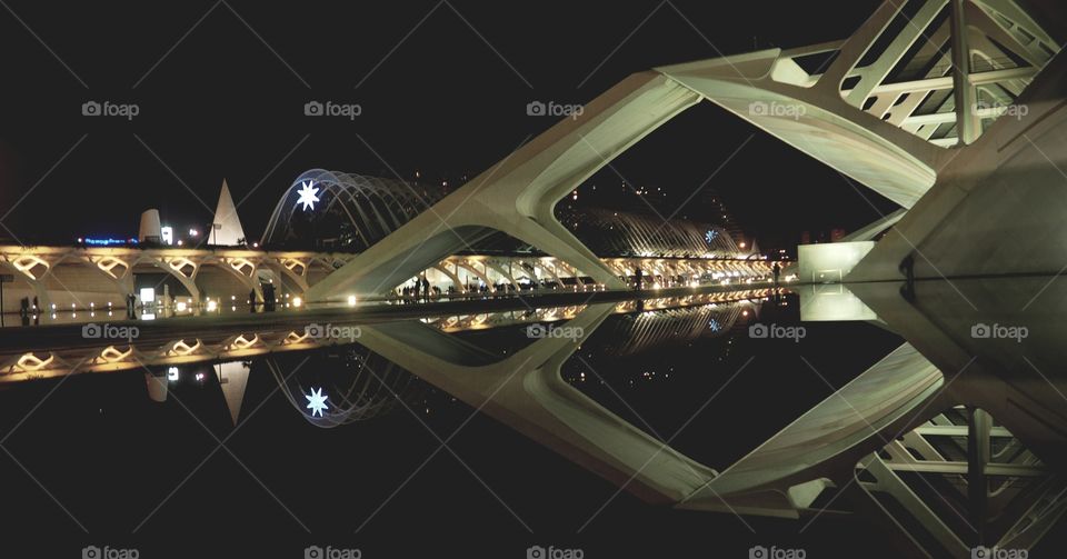 Ciudad de las Artes y las Ciencias 
City of Arts and Sciences