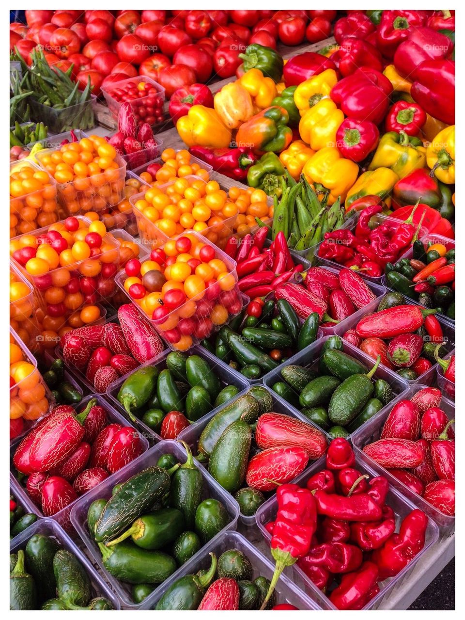 Farmer's Market Vegetables