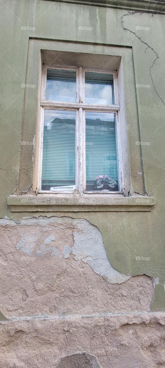 Window