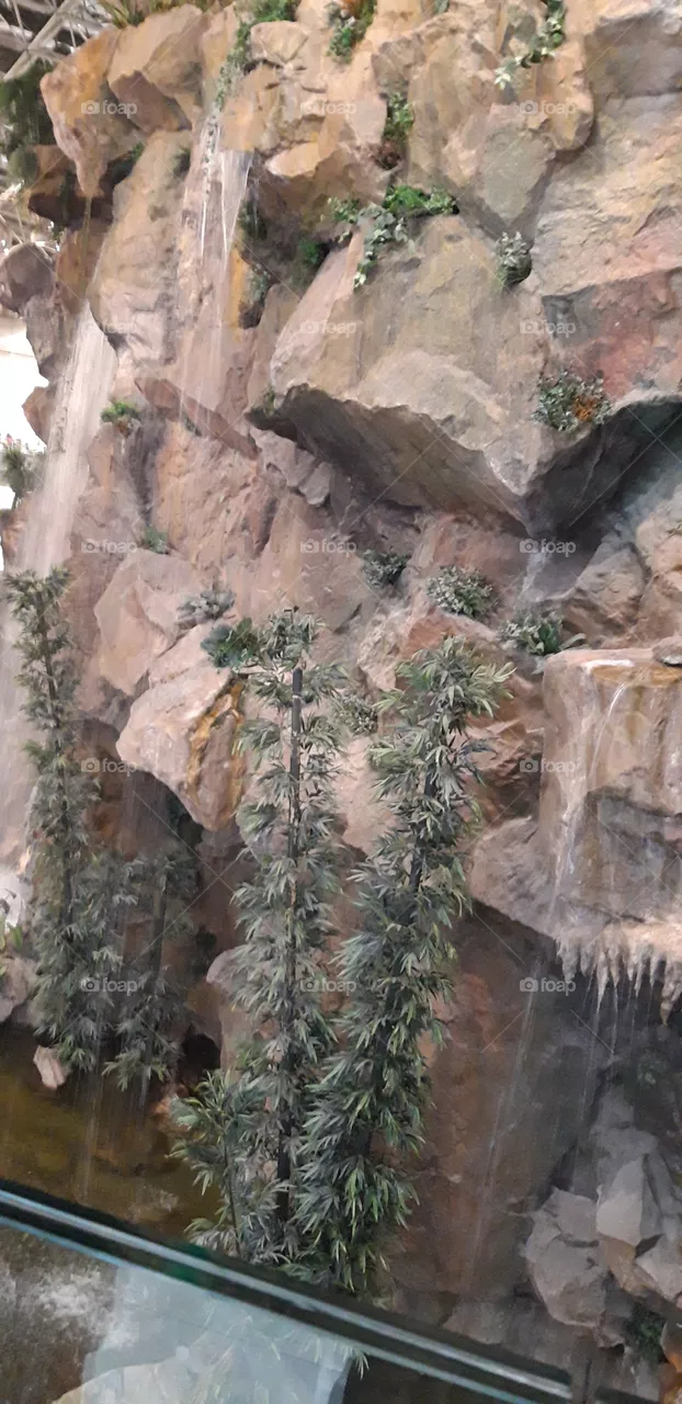 nature