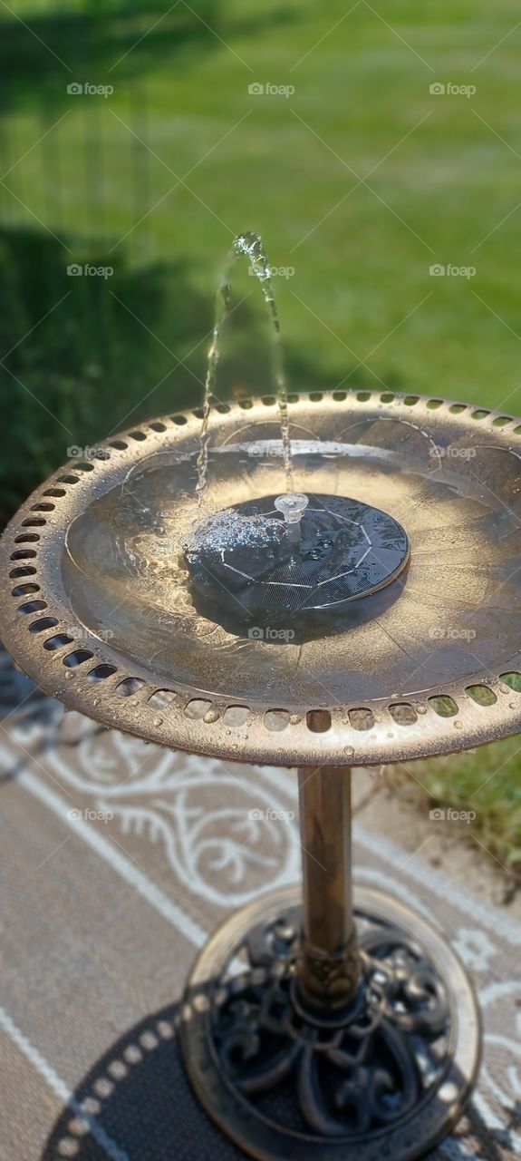 solar bird bath