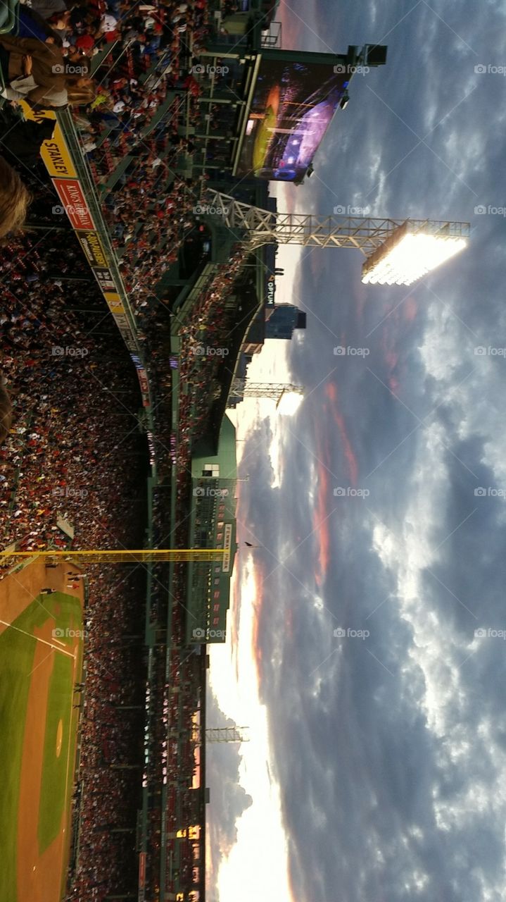 Fenway Views