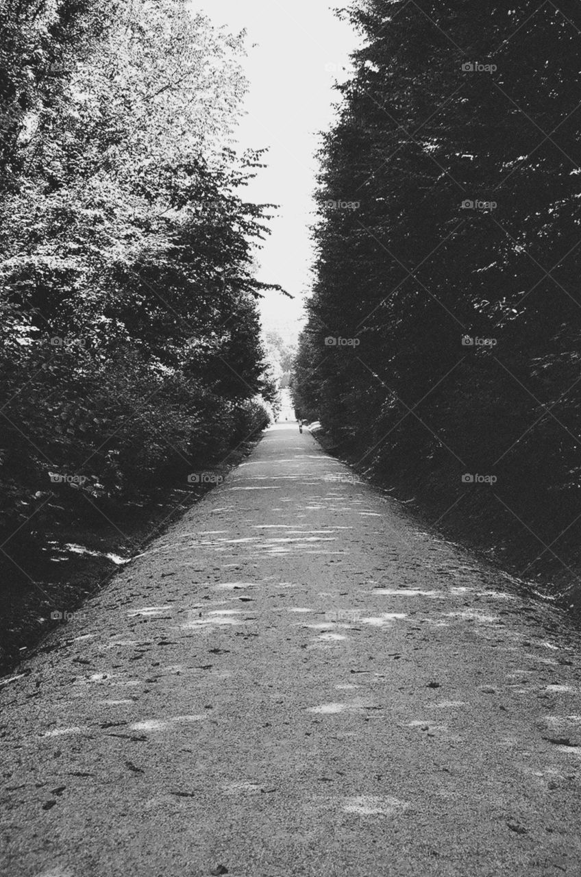 Pathway, Schonbrunn Palace, Vienna, Austria