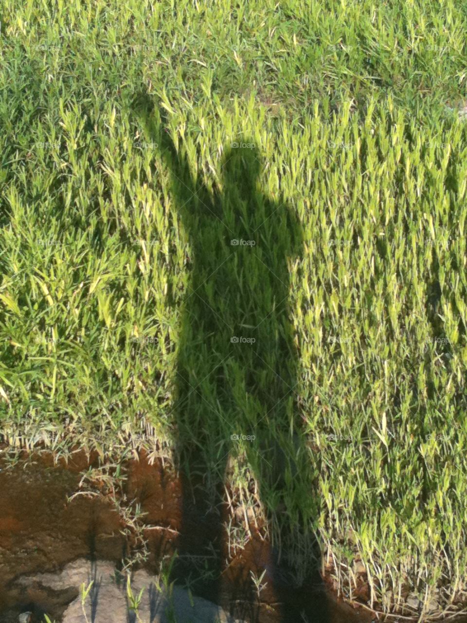 Even your shadow needs to be heard now and again. 